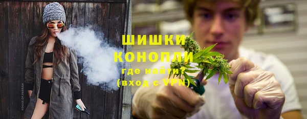 дурь Няндома