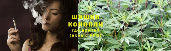 дурь Няндома
