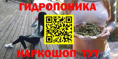 ГАЛЛЮЦИНОГЕННЫЕ ГРИБЫ Краснодар