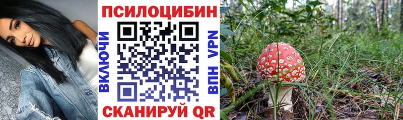 Галлюциногенные грибы ЛСД  Дзержинск 