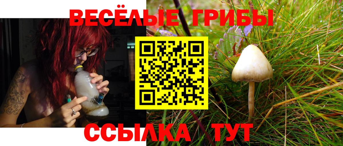 Псилоцибиновые грибы Cubensis Дзержинск