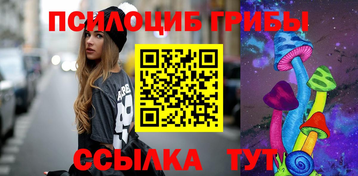 Псилоцибиновые грибы Cubensis  Вход с VPN  Дзержинск 