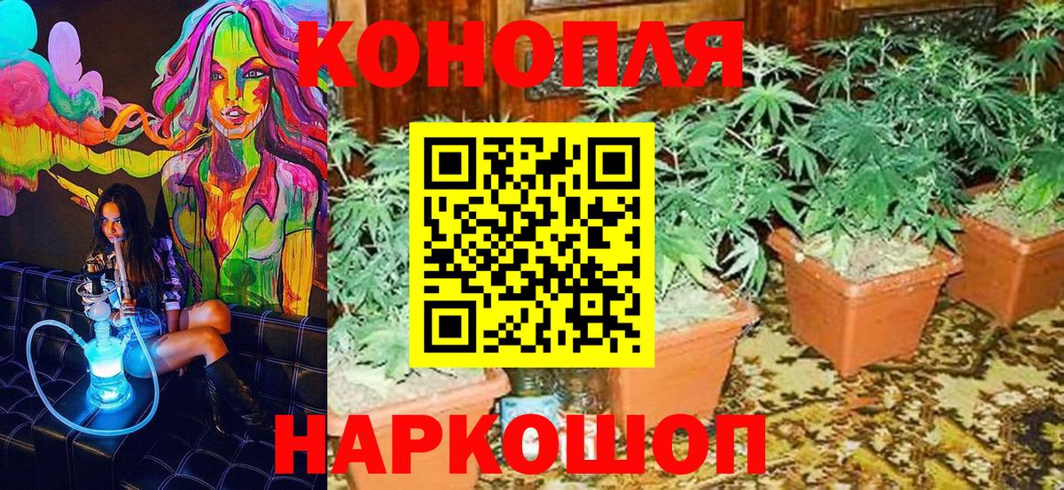 Дзержинск  Конопля SATIVA & INDICA  Бошки марихуана SATIVA & INDICA  Вход с VPN  Конопля White Widow  Конопля семена 